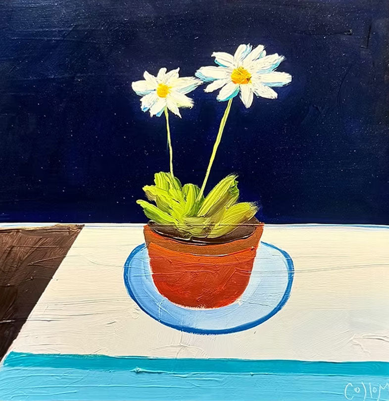 Navy Daisies