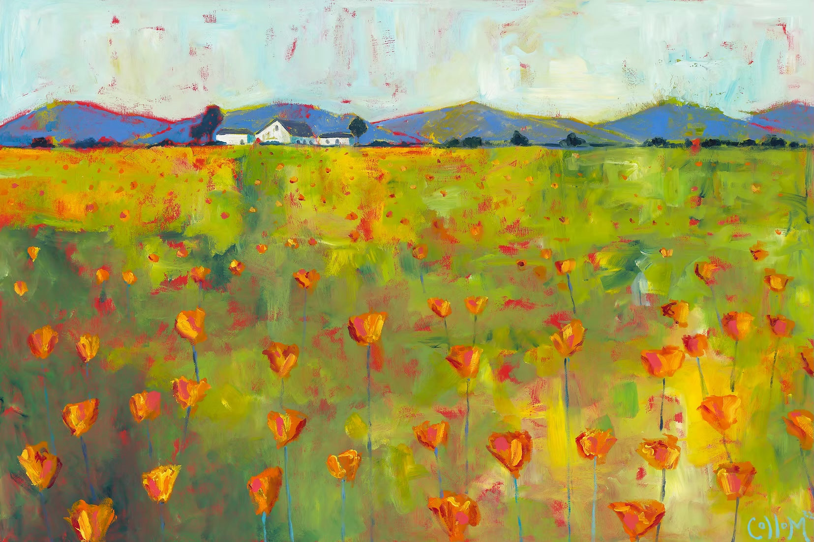 California Poppys