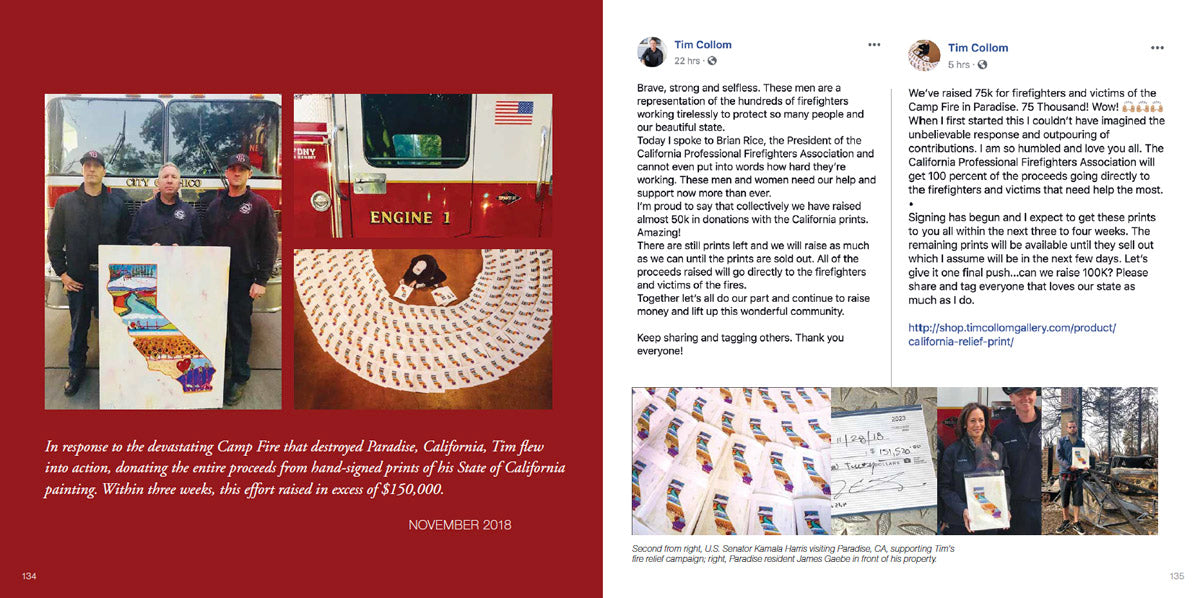 Tim Collom California Painter: A Retrospective Book